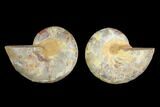3.4" Cut & Polished Agatized Ammonite Fossil (Pair)- Jurassic - #131673-1